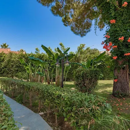 Rivulet Apartment Laganas