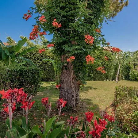 Rivulet Apartment Laganas