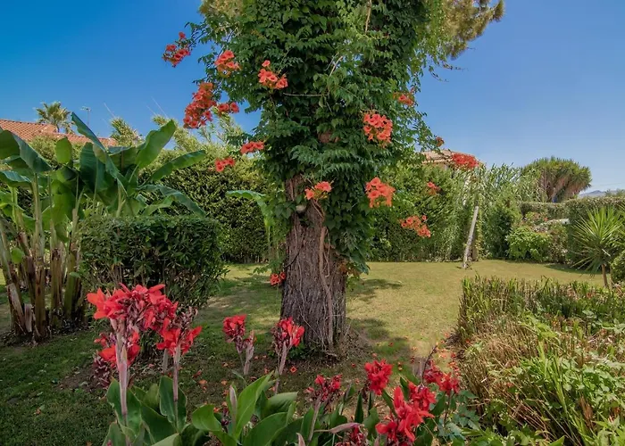 Rivulet Appartement Laganas